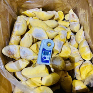 Alternative view of Frozen durian